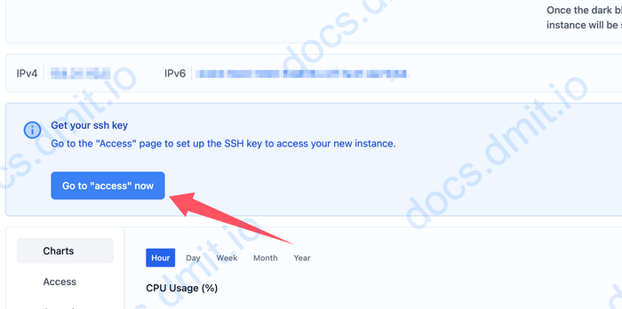 Instance Detail Page